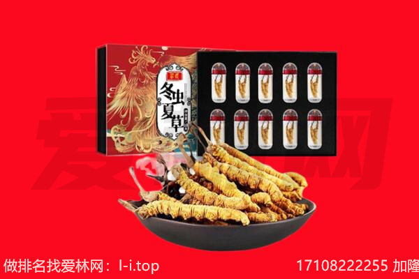 黄山祁门县回收虫草.jpg